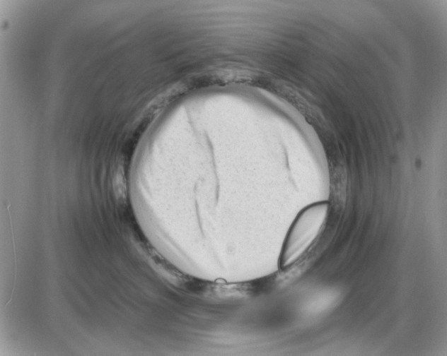 X0000086040622200704202012