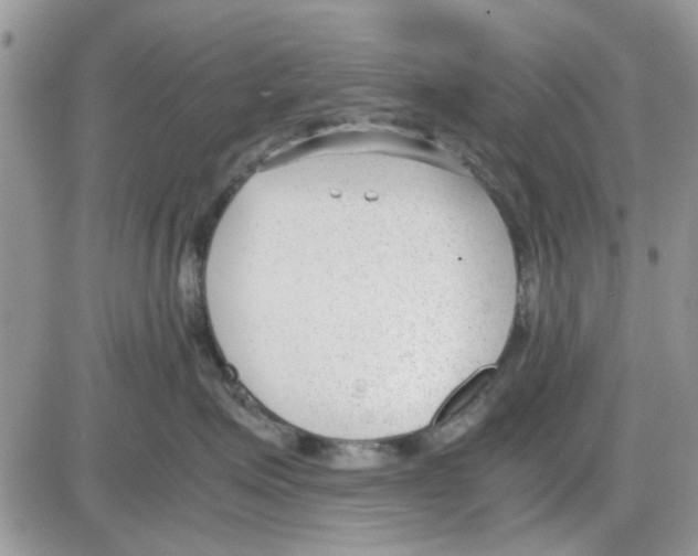 X0000086040623200704202012