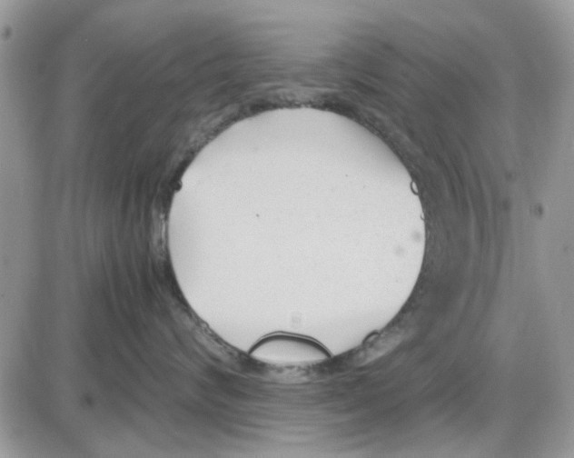 X0000086040624200704202012