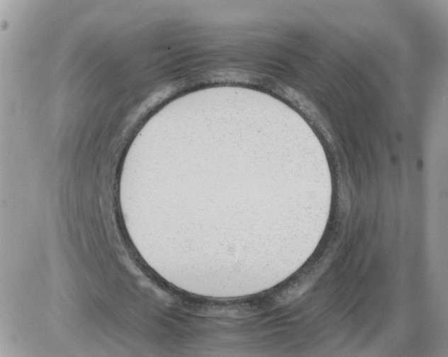 X0000086040625200704202012