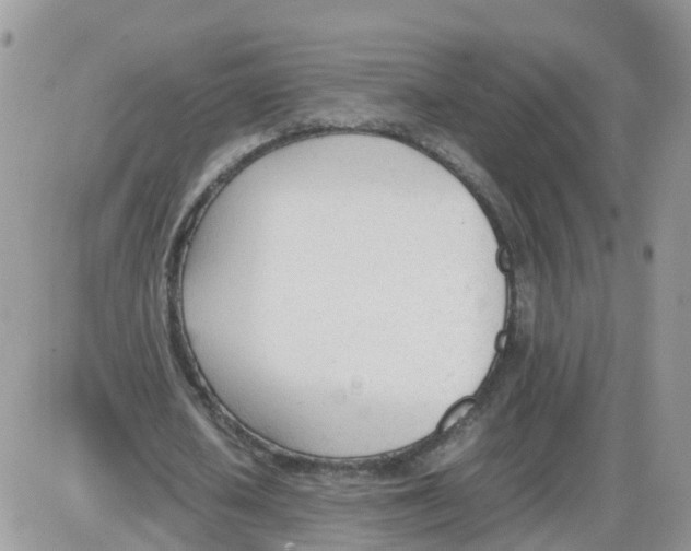 X0000086040626200704202012