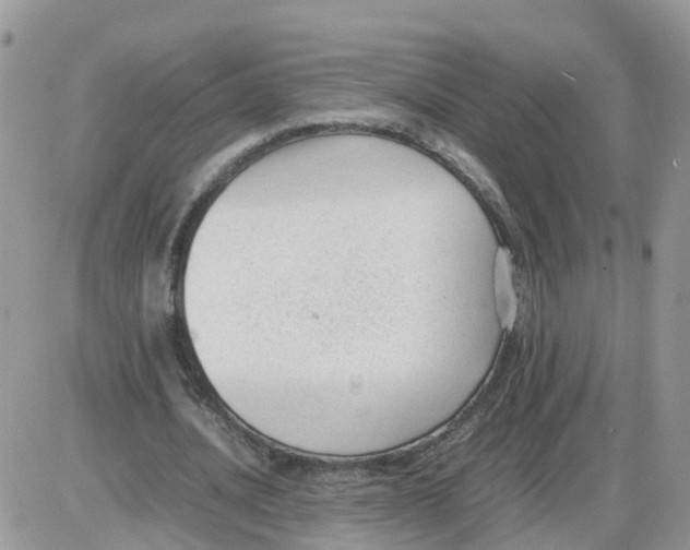 X0000086040628200704202012