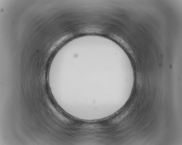 X0000086040629200704202012