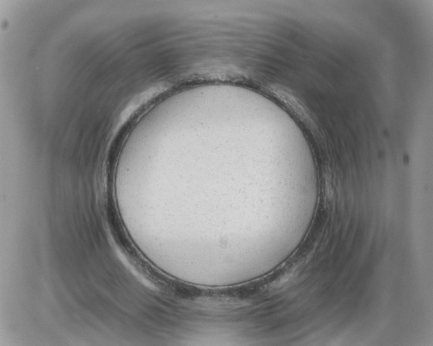 X0000086040630200704202012