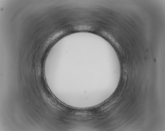 X0000086040631200704202012