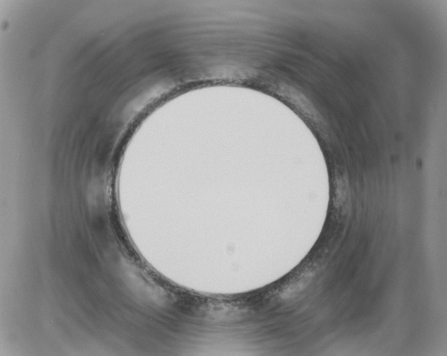 X0000086040632200704202012