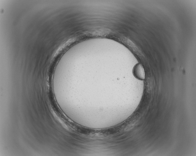 X0000086040634200704202012