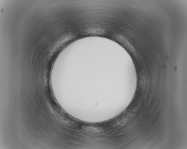 X0000086040635200704202012