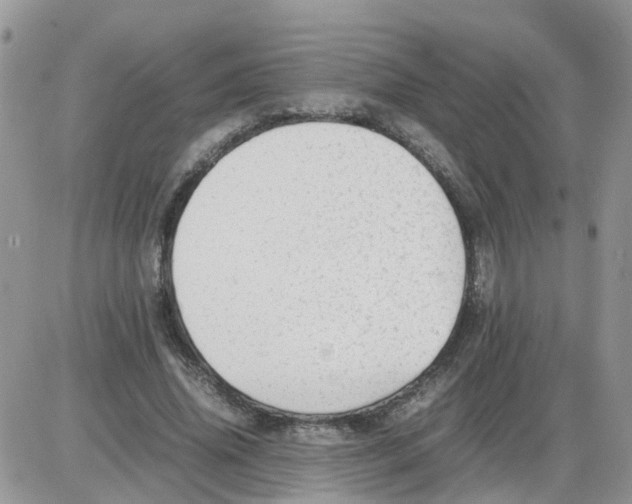 X0000086040636200704202012