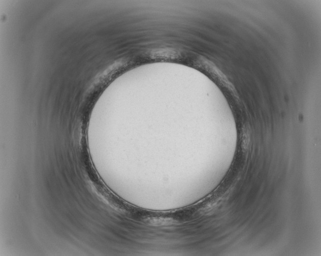 X0000086040637200704202012