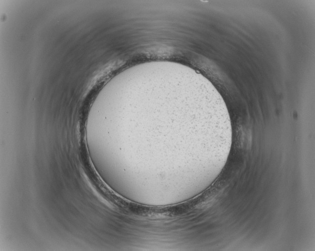 X0000086040638200704202012