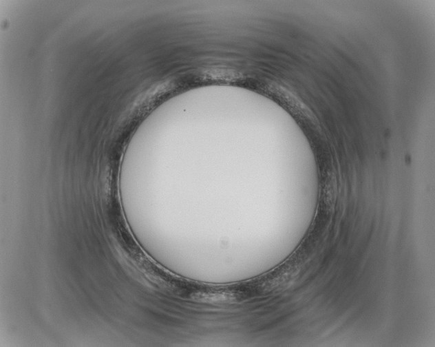 X0000086040639200704202012