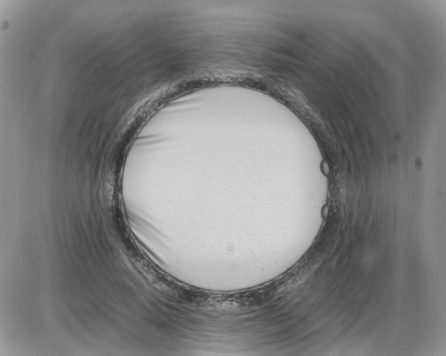 X0000086040640200704202012