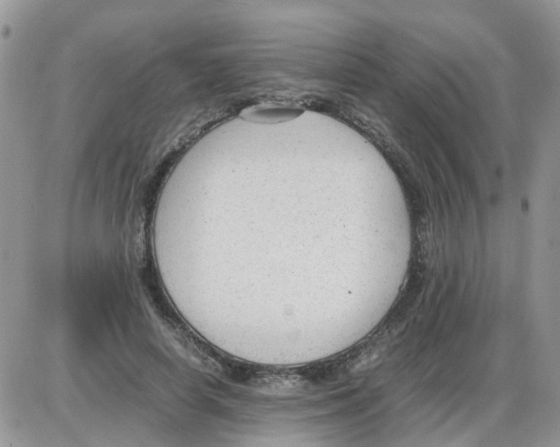 X0000086040642200704202012