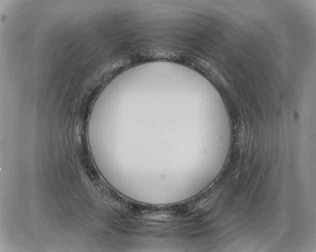 X0000086040643200704202012