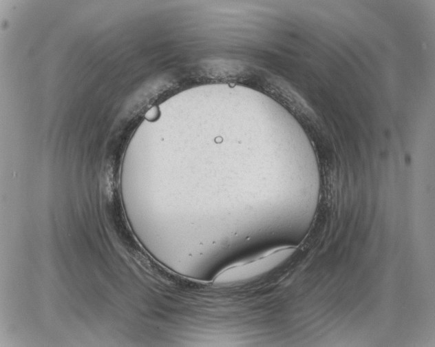 X0000086040644200704202012