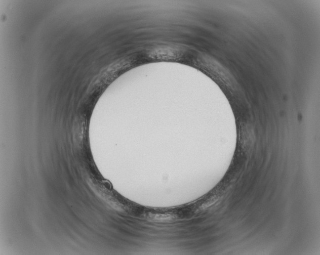 X0000086040645200704202012