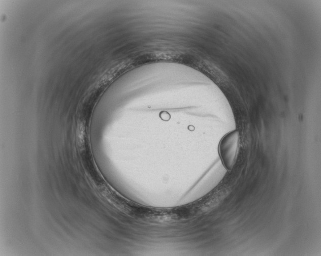 X0000086040646200704202012