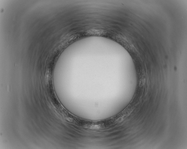 X0000086040647200704202012