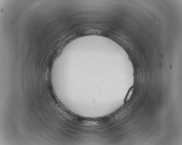 X0000086040649200704202012