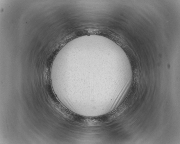 X0000086040650200704202012