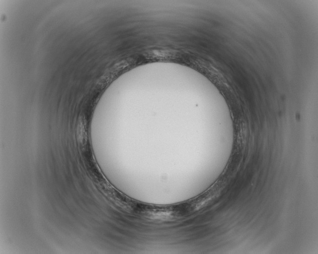 X0000086040651200704202012