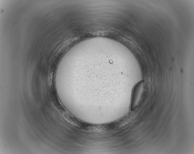 X0000086040652200704202012