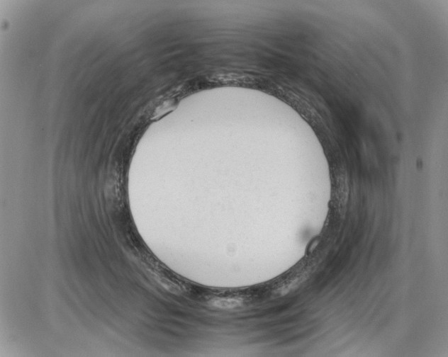 X0000086040653200704202012