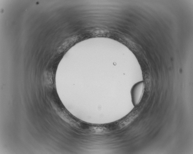 X0000086040654200704202012