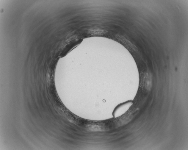 X0000086040655200704202012