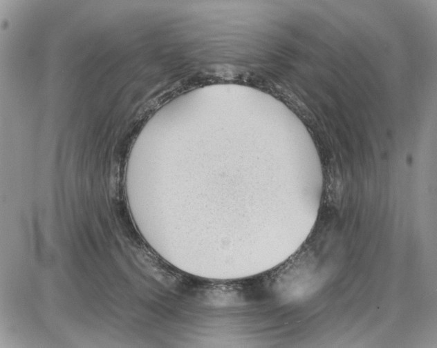 X0000086040656200704202012