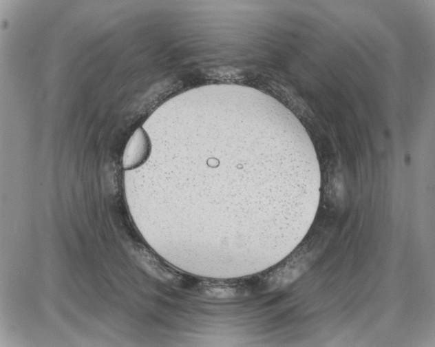 X0000086040658200704202012