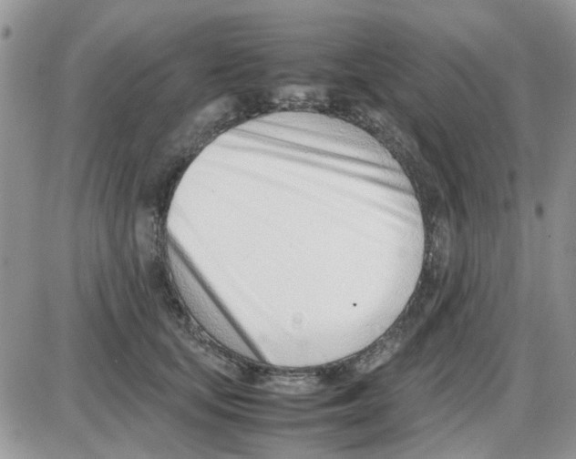 X0000086040659200704202012