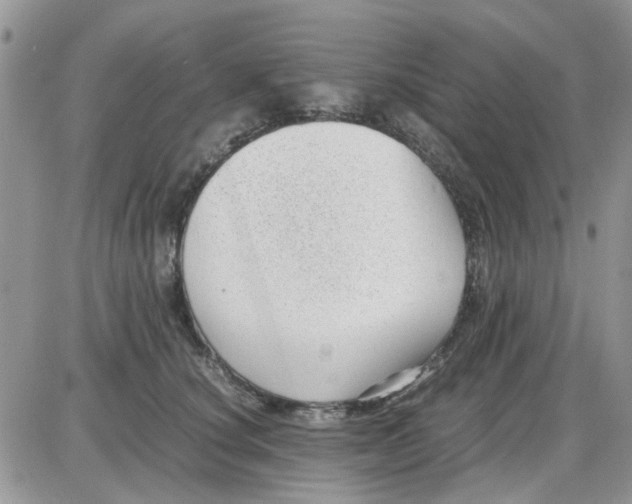 X0000086040660200704202012