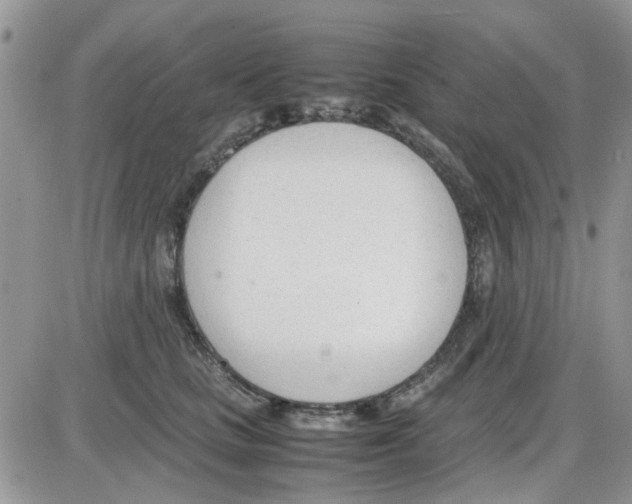 X0000086040661200704202012