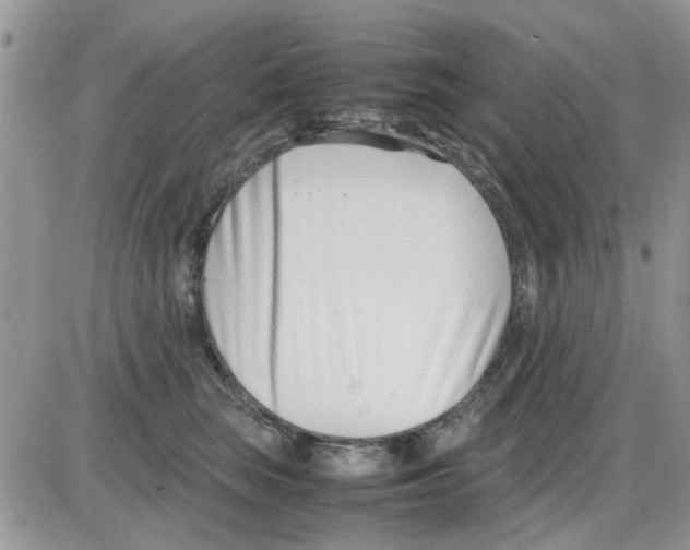 X0000086040663200704202012