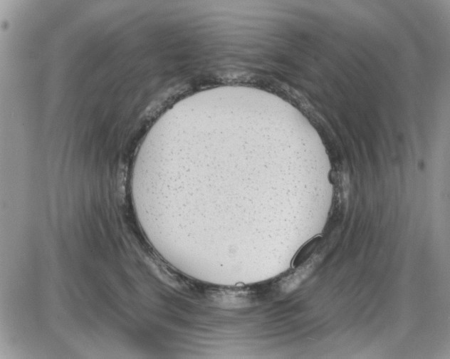 X0000086040664200704202012