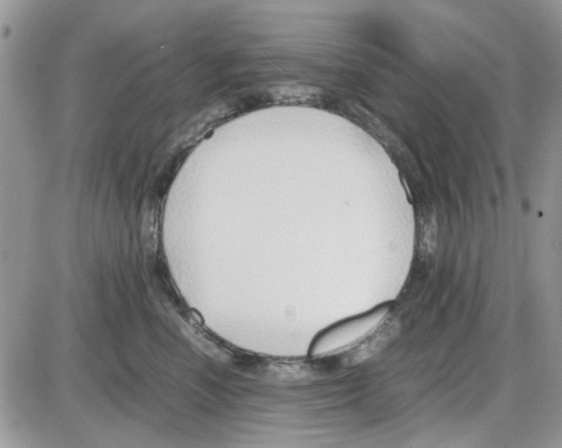 X0000086040666200704202012