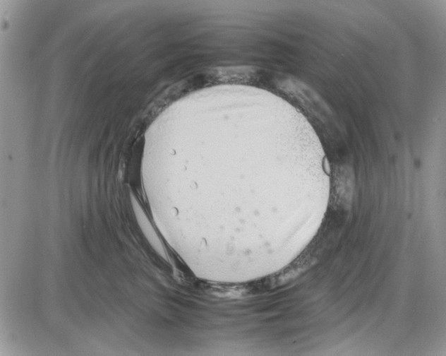 X0000086040667200704202012