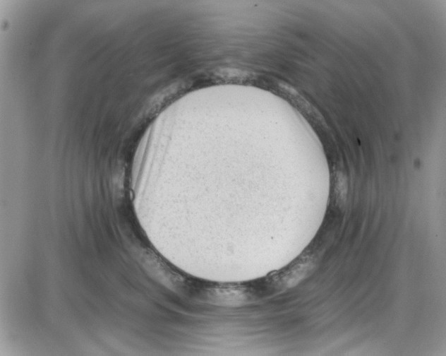 X0000086040668200704202012