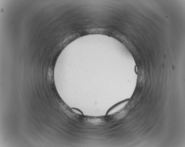 X0000086040669200704202012