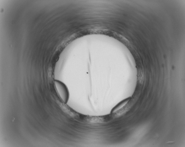 X0000086040670200704202012