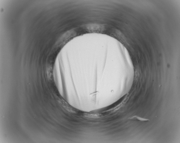 X0000086040671200704202012