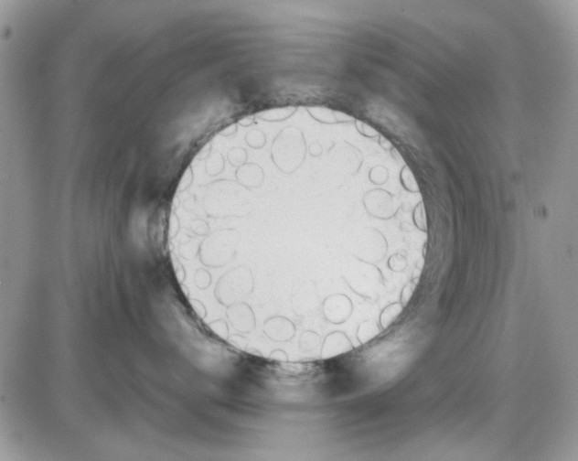 X0000086040672200704202012