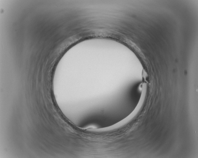 X0000086040673200704202012