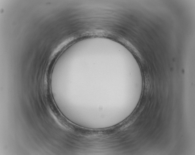 X0000086040674200704202012