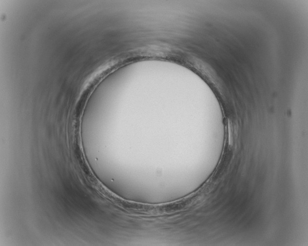 X0000086040675200704202012