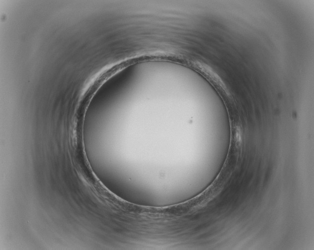 X0000086040676200704202012