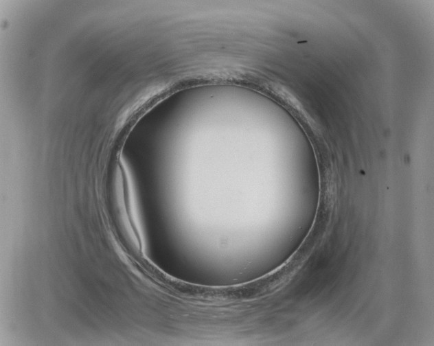 X0000086040677200704202012