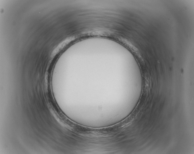 X0000086040678200704202012